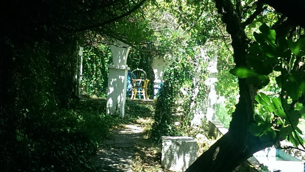 Chorros Del Rio Mundo Bed and Breakfast Riópar Εξωτερικό φωτογραφία