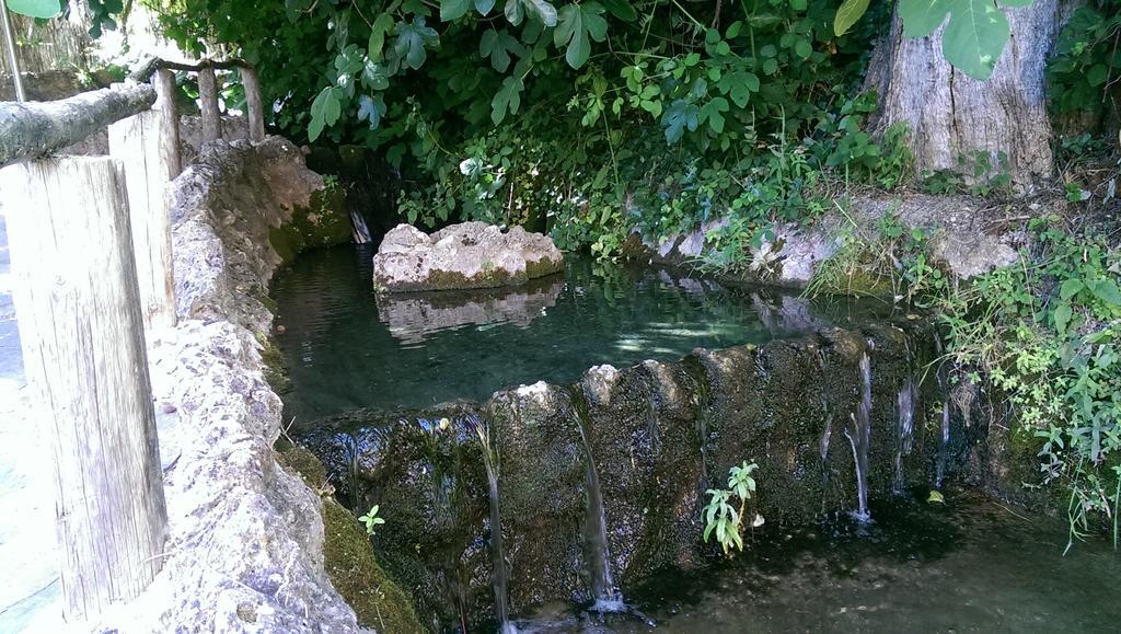 Chorros Del Rio Mundo Bed and Breakfast Riópar Εξωτερικό φωτογραφία